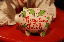 image of piggy_bank #21