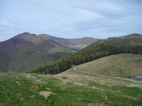 image of alp