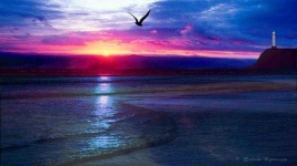 image of ocean