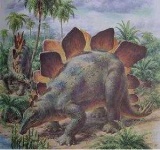 image of stegosaurus