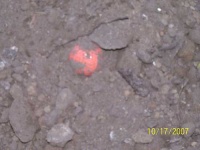 image of golf_ball