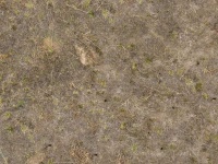 image of texture