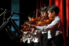 image of violin