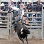 image of bull_riding #1