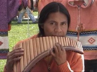 image of panpipe