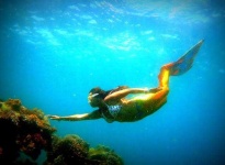 image of mermaid