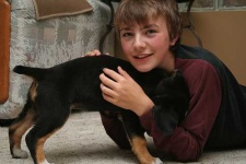 image of entlebucher