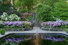 image of garden