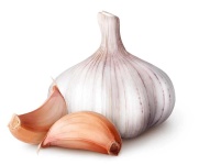 image of garlic #8