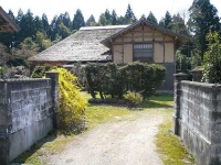 image of thatch