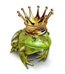 image of animal