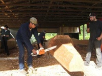 image of chain_saw