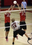 image of volleyball