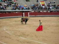 image of animal