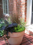 image of pot