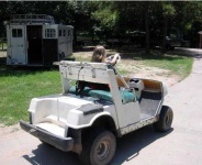 image of golfcart #5