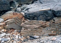 image of texture