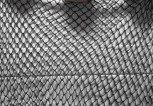 image of texture