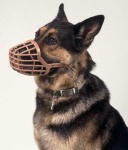 image of muzzle