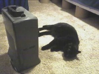 image of space_heater