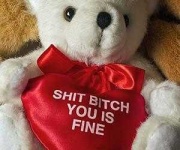 image of teddy_bear