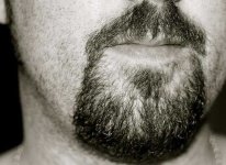 image of goatee