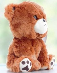 image of teddy_bear