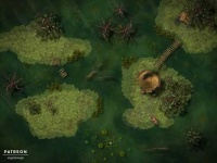 image of swamp