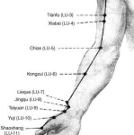 image of human_body_parts