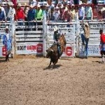 image of bull_riding #3