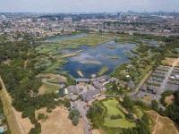 image of wetland