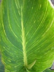 image of texture
