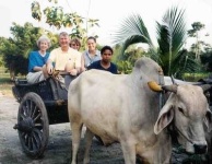image of oxcart
