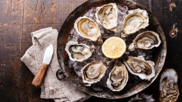 image of oyster #50