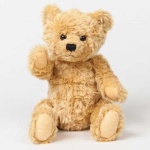 image of teddy_bear