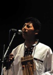 image of panpipe