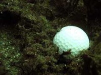 image of golf_ball