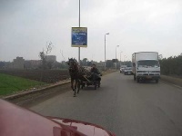 image of horse_cart #29
