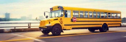image of bus