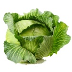 image of cabbage #31