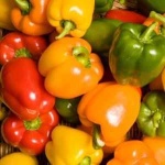 image of bell_pepper