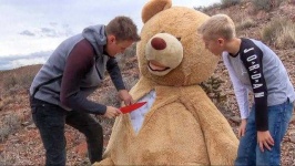image of teddy_bear
