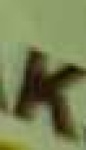 image of char