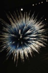 image of sea_urchin