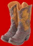 image of cowboy_boot #7