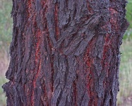image of texture
