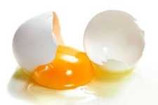 image of egg_shell