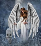 image of angel
