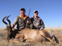 image of hartebeest