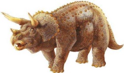 image of triceratops